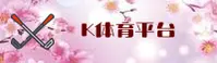 使用指南与常见问题